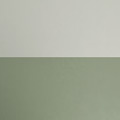 ペールグリーン