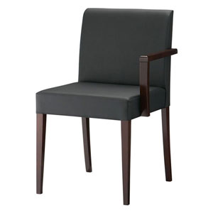 リーブル左アームイスⅡA